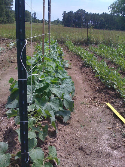 6300FT Tomato Tying Garden Twine