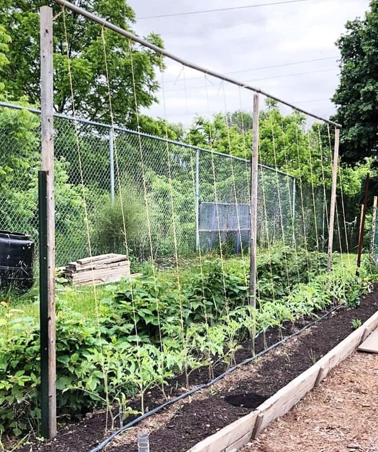 6300FT Tomato Tying Garden Twine
