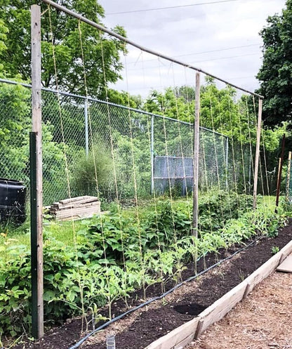 6300FT Tomato Tying Garden Twine