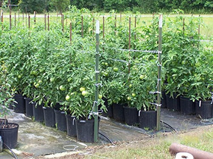 6300FT Tomato Tying Garden Twine
