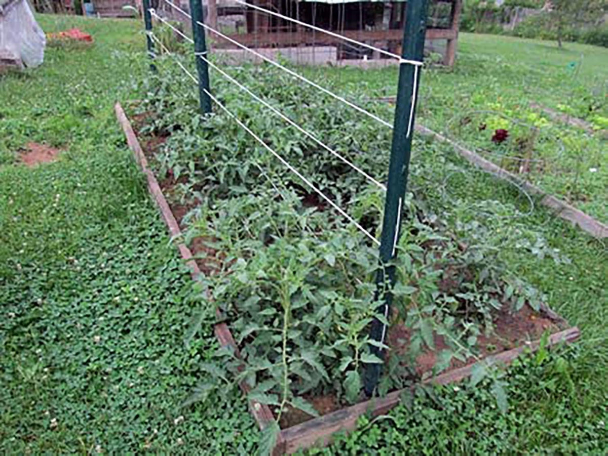 6300FT Tomato Tying Garden Twine
