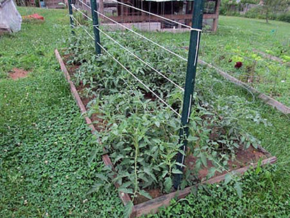 6300FT Tomato Tying Garden Twine