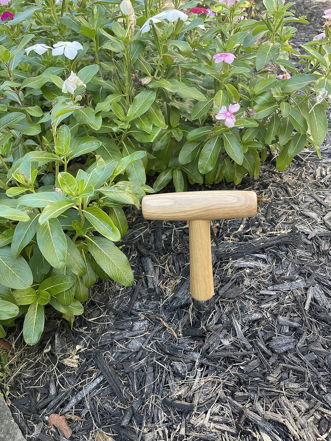 Steel Dibber Planter Tool for Planting Seeds & Bulbs - High Carbon Steel & Comfortable Wood Carved Handle - for Consistent Planting Flowers Tulips, Daffodils, Dahlias