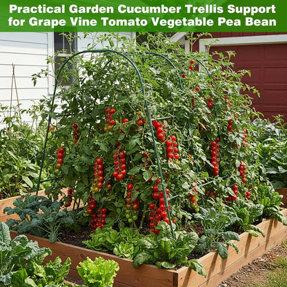2 Pack Garden Cucumber Trellis for Climbing Plants Outdoor 48 x 48 Inch U Shape Cucumber Trellis for Raised Bed Metal Arch for Vegetables Tomato Pea Bean