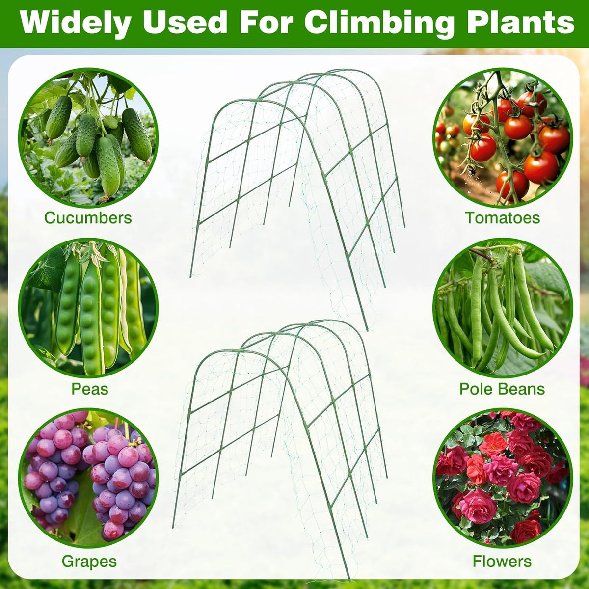 2 Pack Garden Cucumber Trellis for Climbing Plants Outdoor 48 x 48 Inch U Shape Cucumber Trellis for Raised Bed Metal Arch for Vegetables Tomato Pea Bean