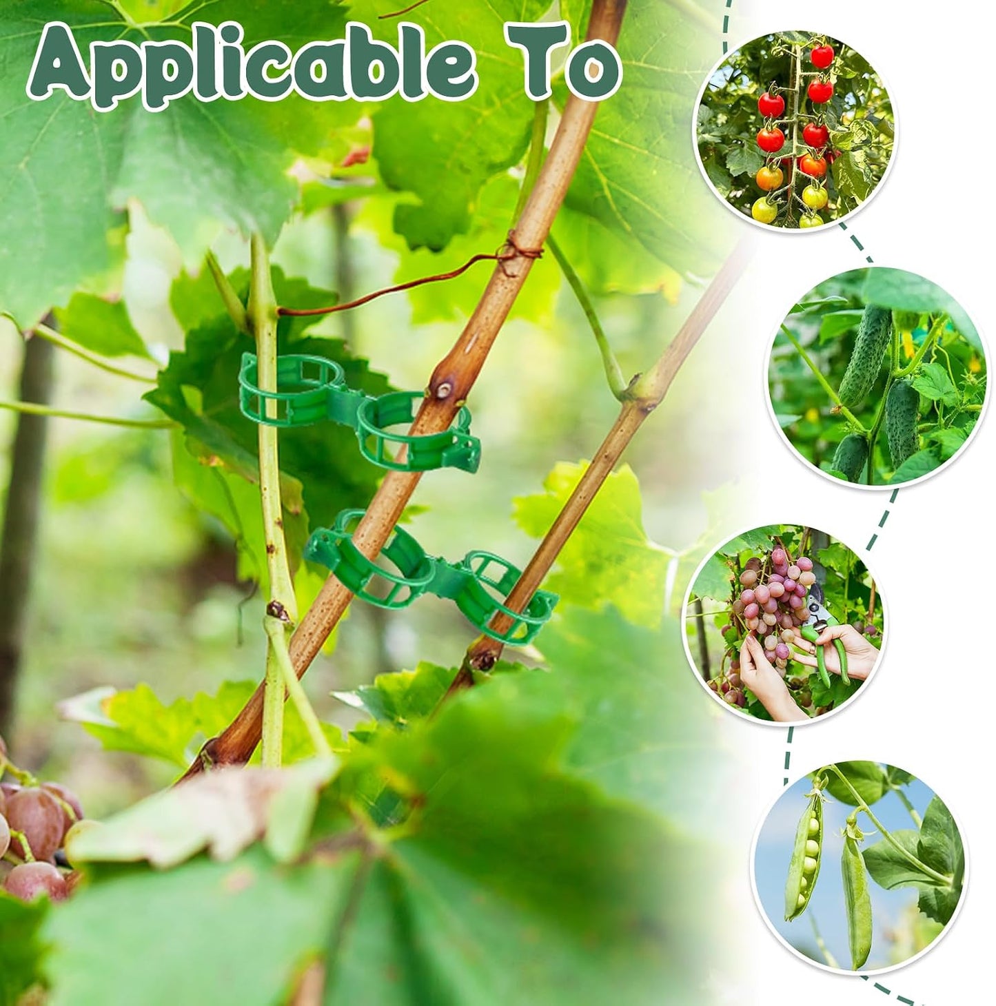 300 PCS Plant Support Garden Clips,Tomato Vine Clips,Durable Crop Clips in White for Flower Vine Twine Tomato Orchid to Grow Upright and Healthier
