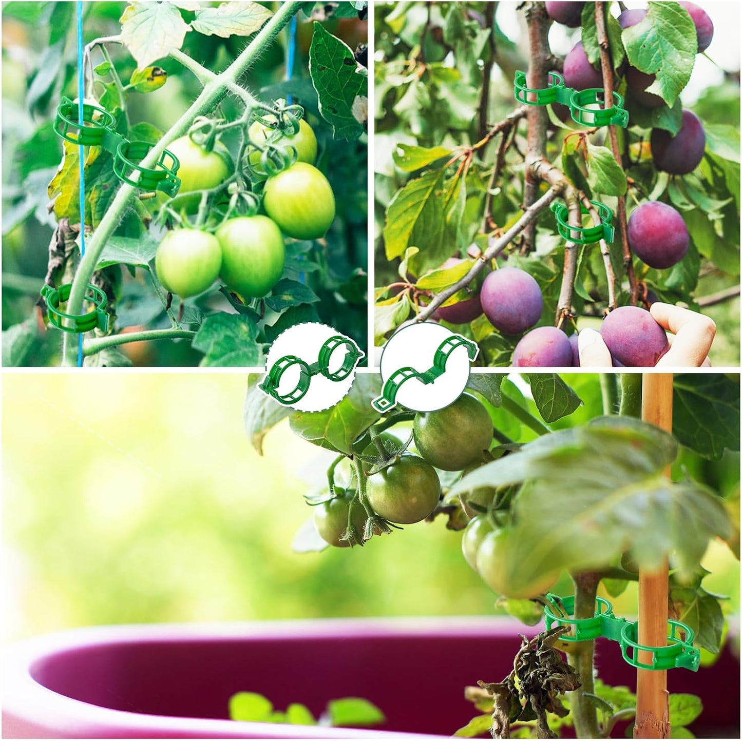 300 PCS Plant Support Garden Clips,Tomato Vine Clips,Durable Crop Clips in White for Flower Vine Twine Tomato Orchid to Grow Upright and Healthier