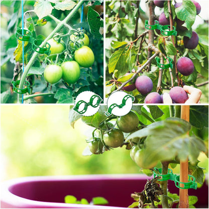 300 PCS Plant Support Garden Clips,Tomato Vine Clips,Durable Crop Clips in White for Flower Vine Twine Tomato Orchid to Grow Upright and Healthier