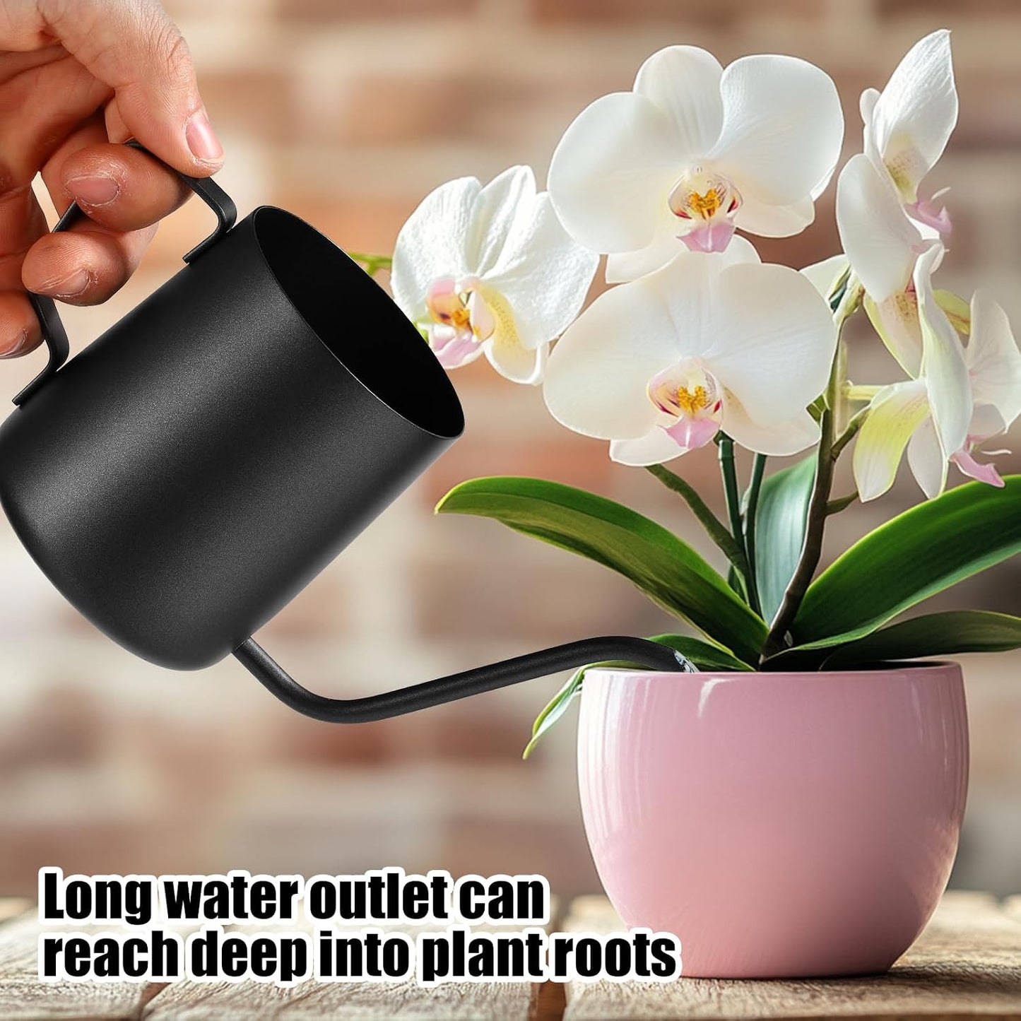 Plant Watering Can, 12 oz / 350 ml Stainless Steel Plant Watering Pot Small Watering Can with Long Spout for Indoor House Plants Flower Bonsai Outdoor Garden