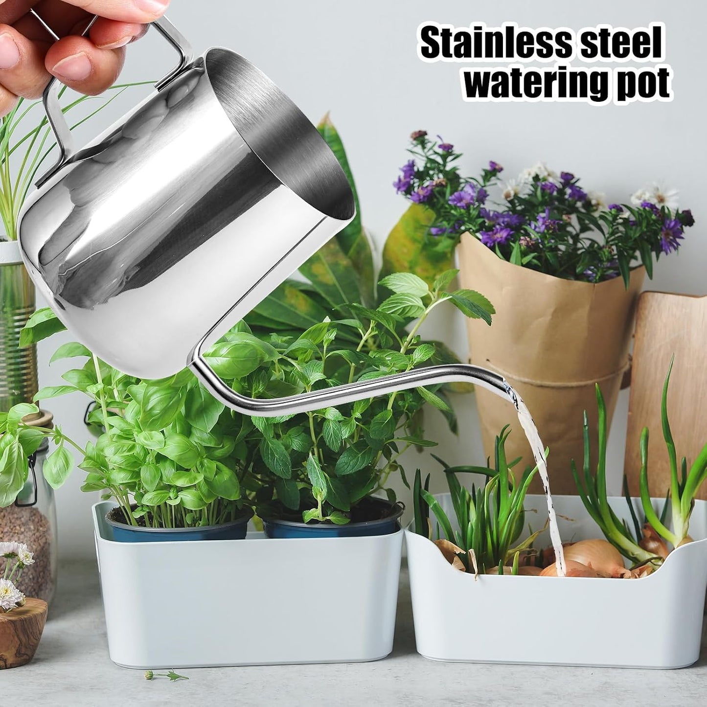 Plant Watering Can, 12 oz / 350 ml Stainless Steel Plant Watering Pot Small Watering Can with Long Spout for Indoor House Plants Flower Bonsai Outdoor Garden