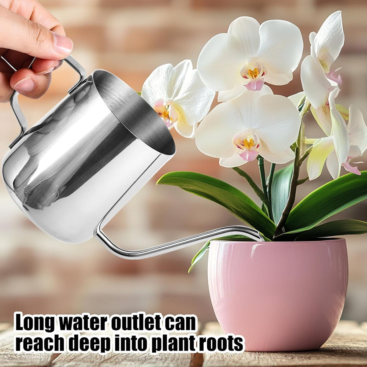 Plant Watering Can, 12 oz / 350 ml Stainless Steel Plant Watering Pot Small Watering Can with Long Spout for Indoor House Plants Flower Bonsai Outdoor Garden