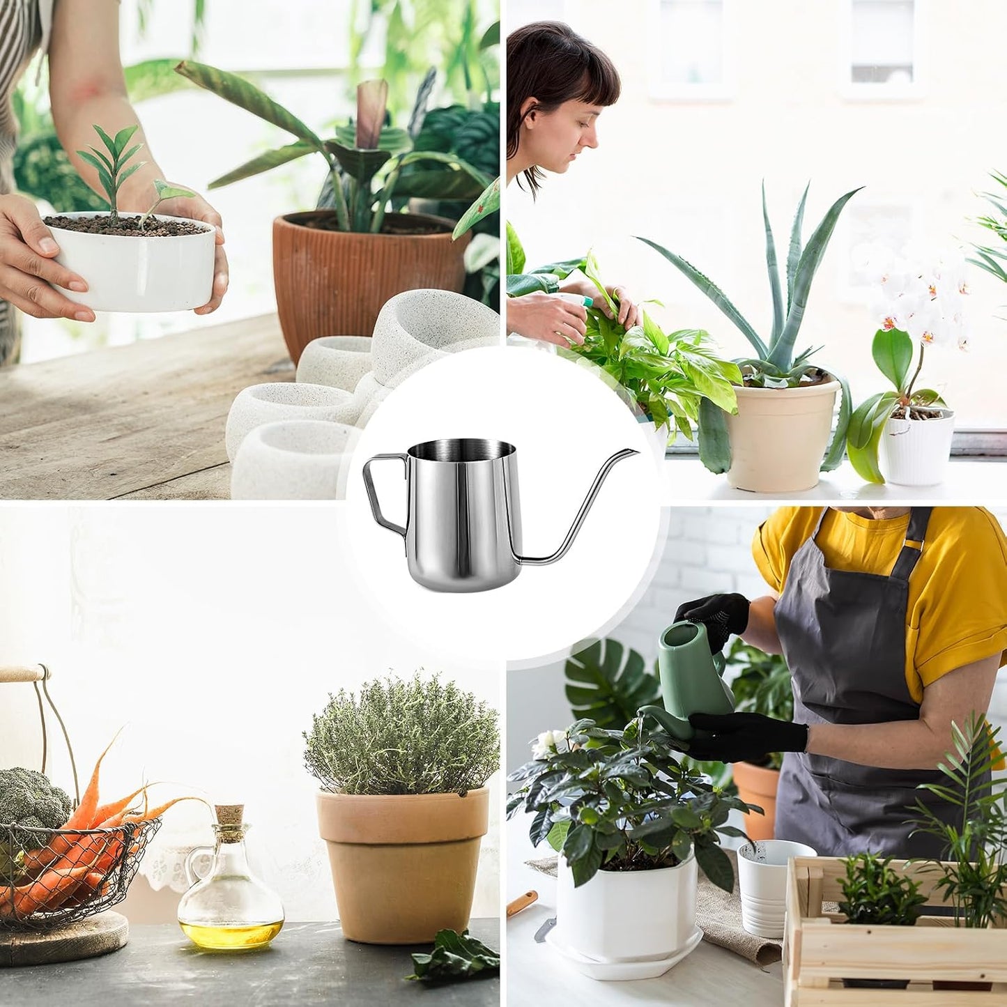 Plant Watering Can, 12 oz / 350 ml Stainless Steel Plant Watering Pot Small Watering Can with Long Spout for Indoor House Plants Flower Bonsai Outdoor Garden