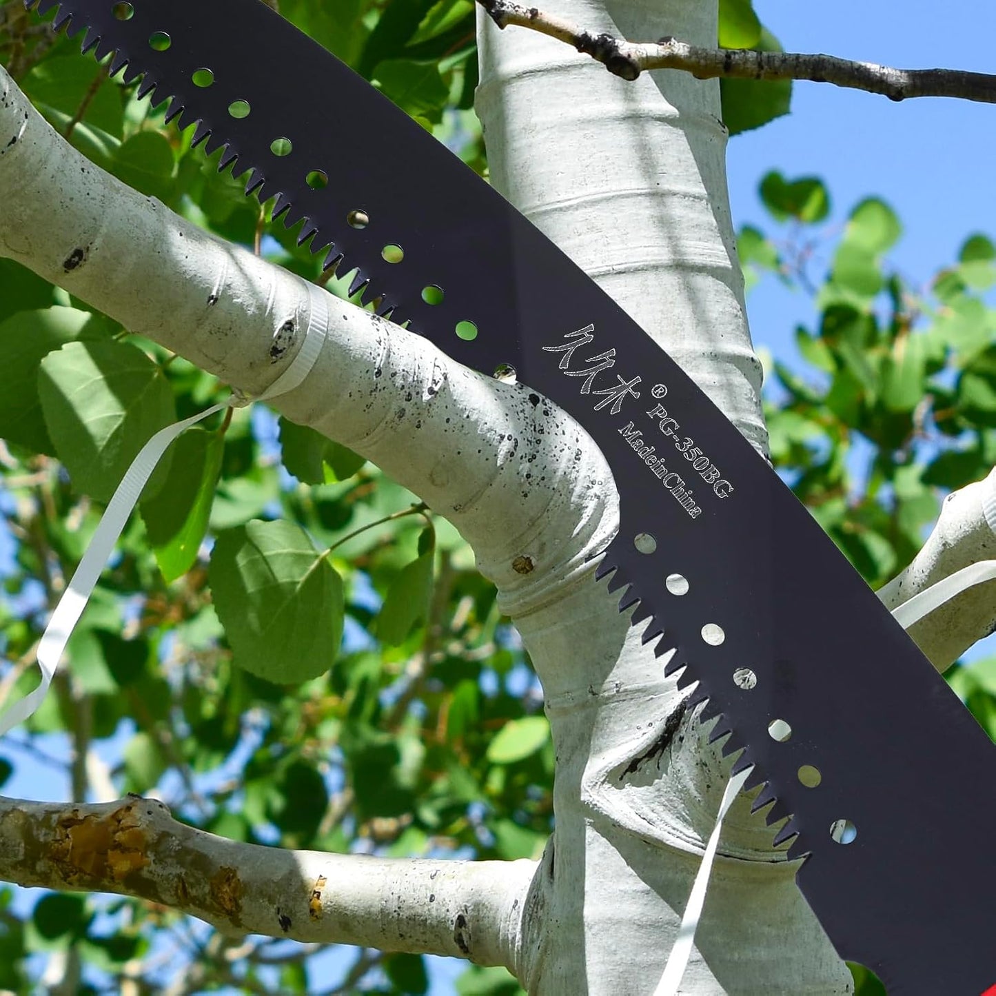 Pole Saw for Tree Trimming - 30.1 FT Extendable Tree Pruner, Long Handle Tree Trimmer, High Reach Branch Cutter, Heavy Duty Pole Pruning Saw, Tree Cutting Tool for Hard-to-Reach Branches