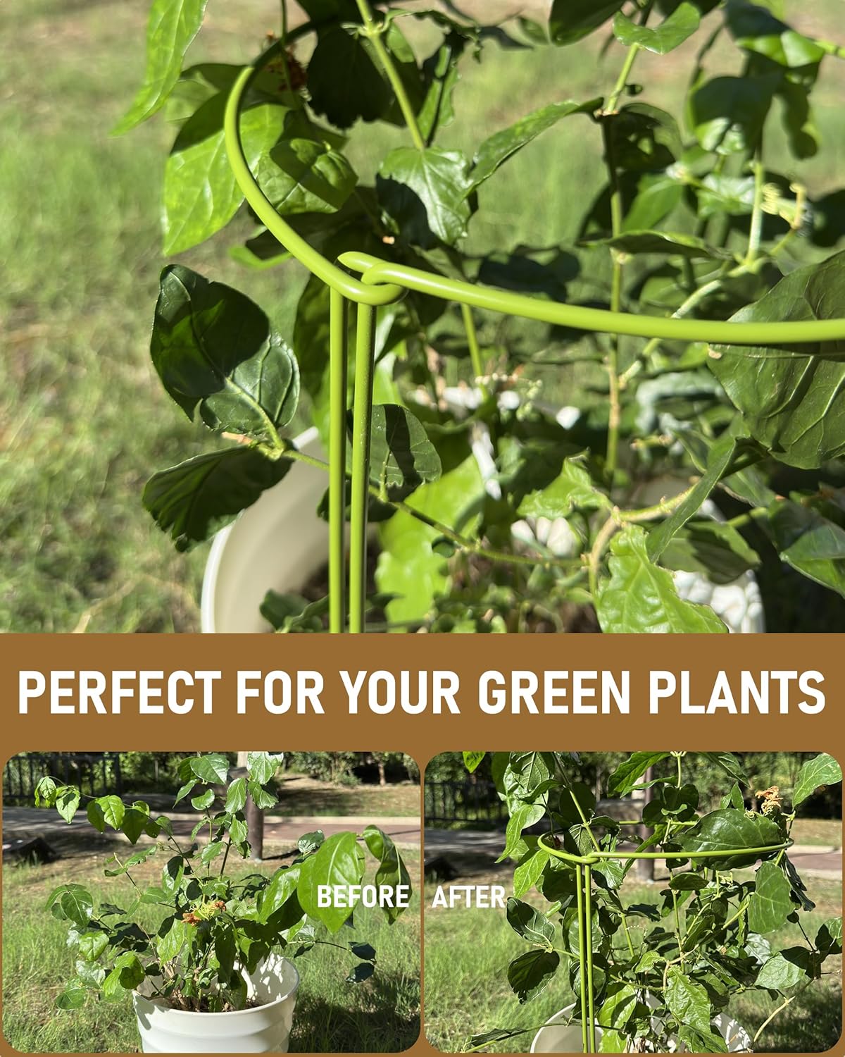 6-Pack Plant Support Stakes, Steel Stakes for Indoor Plants, Monstera & Peony Support, Tall Plant Sticks for Snake Plant, Climbing Vines, Metal Garden Stakes (10" W x 15.8" H)
