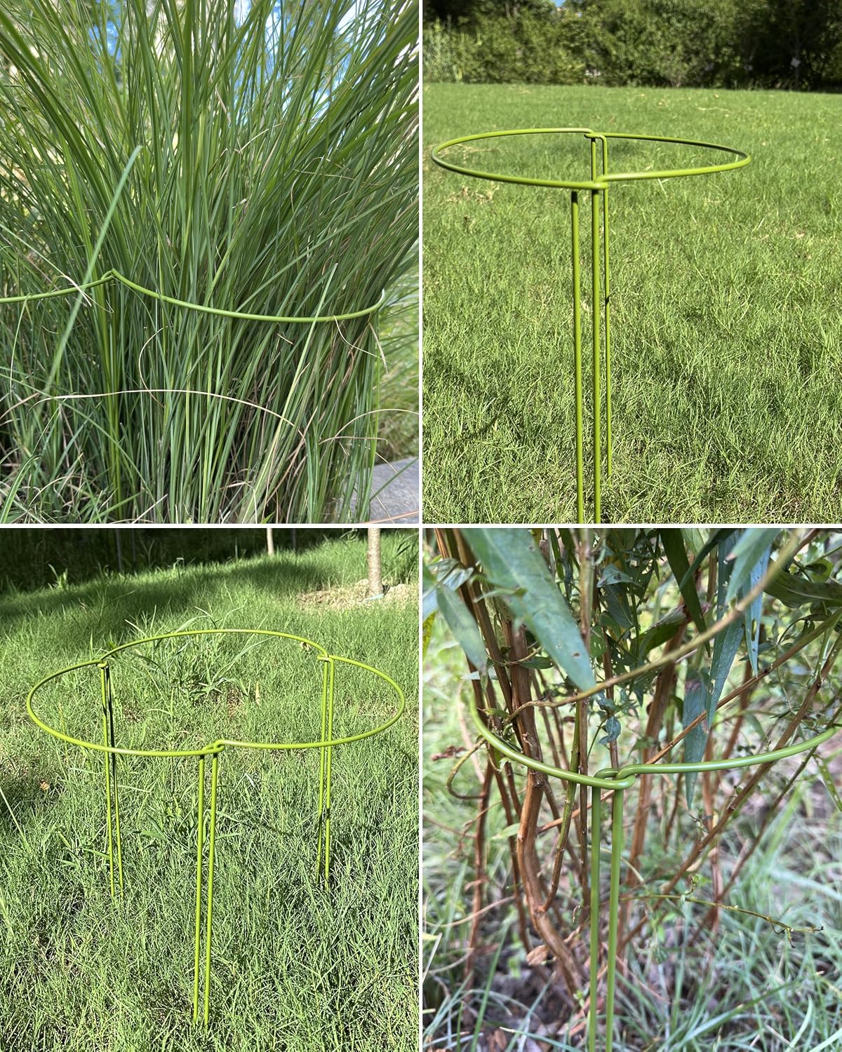 6-Pack Plant Support Stakes, Steel Stakes for Indoor Plants, Monstera & Peony Support, Tall Plant Sticks for Snake Plant, Climbing Vines, Metal Garden Stakes (10" W x 15.8" H)