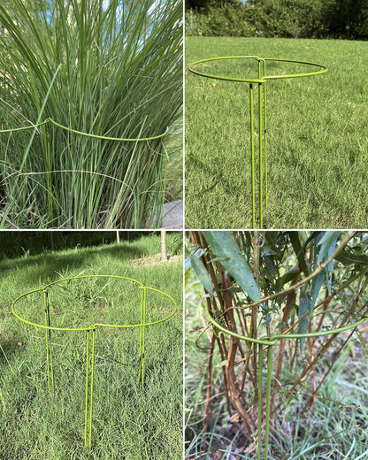6-Pack Plant Support Stakes, Steel Stakes for Indoor Plants, Monstera & Peony Support, Tall Plant Sticks for Snake Plant, Climbing Vines, Metal Garden Stakes (10" W x 15.8" H)