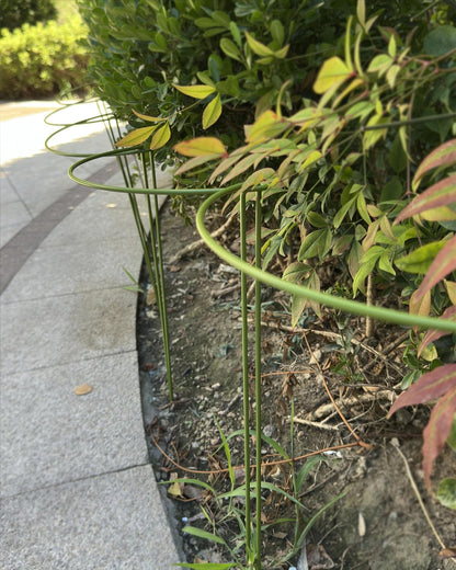 6-Pack Plant Support Stakes, Steel Stakes for Indoor Plants, Monstera & Peony Support, Tall Plant Sticks for Snake Plant, Climbing Vines, Metal Garden Stakes (10" W x 15.8" H)