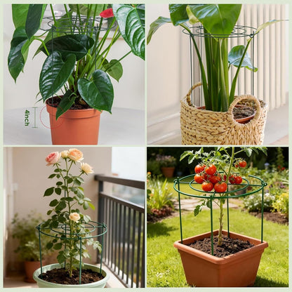 8 Pack Peony Cages and Supports - Heavy Duty Grow Through Metal Plant Support for Outdoor Plants - Plant Support Frame Ring for Rose Tomato Hydrangea Sage Strawberry 12" D x 16" H