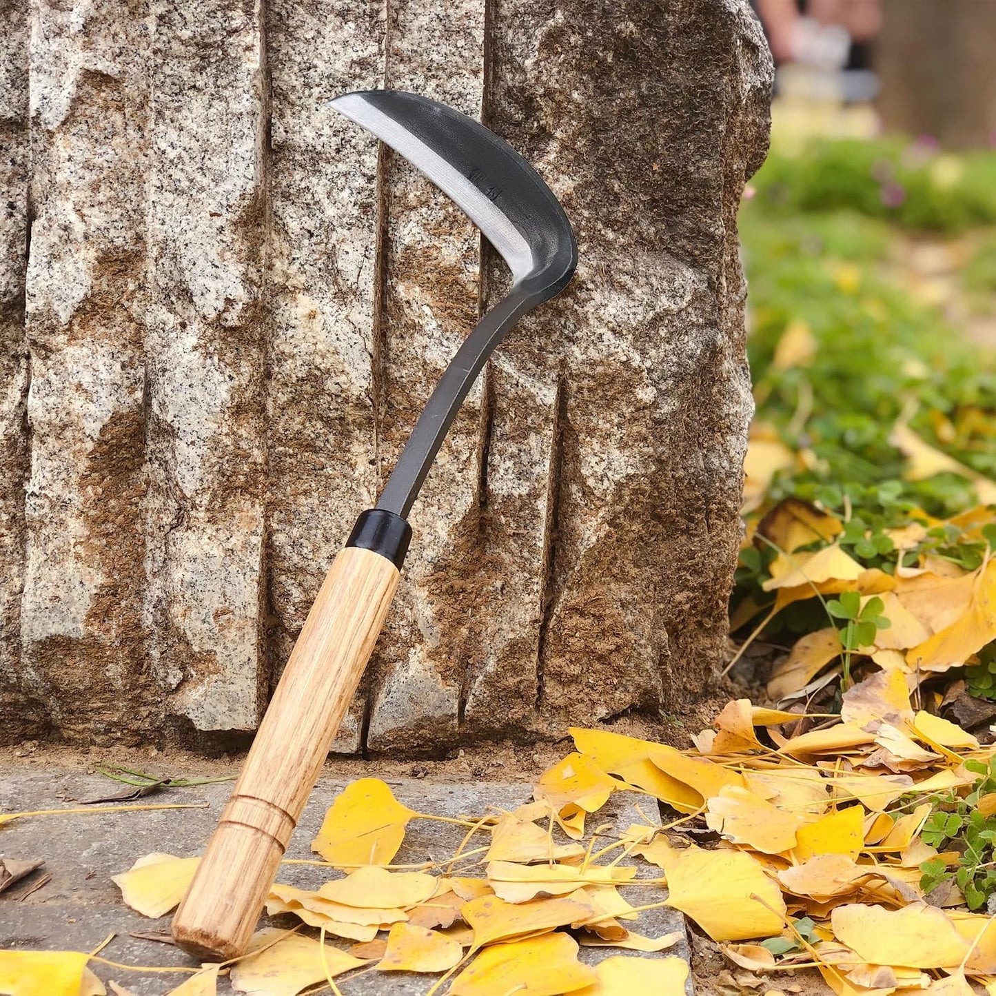 Japanese Weeding Sickle Hoe Gardening Tools 13-Inch Weed Remover Tool High-Carbon Steel One-Piece Molding with Hard Solid Wood Handle(Snake-Necked)