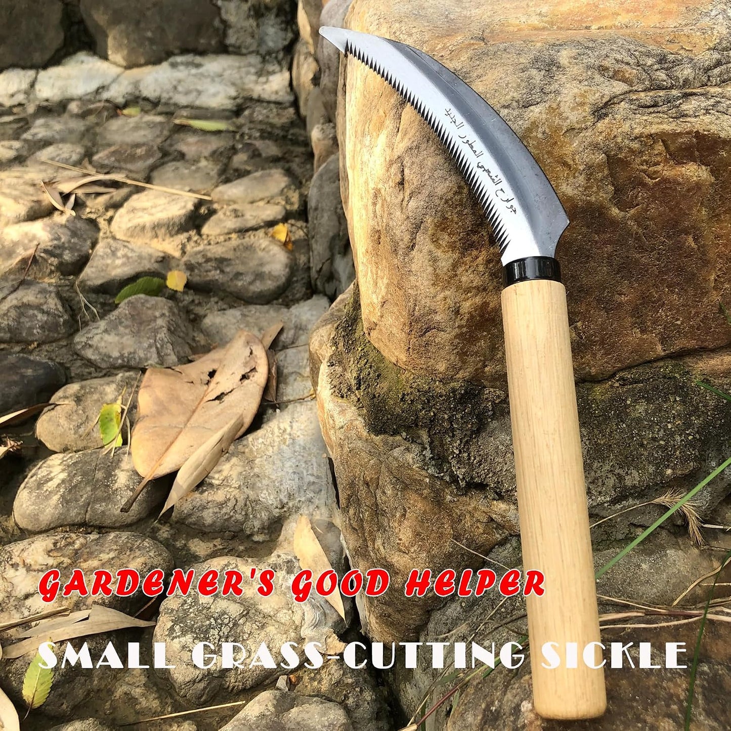 Japanese Weeding Sickle Hoe Gardening Tools 13-Inch Weed Remover Tool High-Carbon Steel One-Piece Molding with Hard Solid Wood Handle(Snake-Necked)