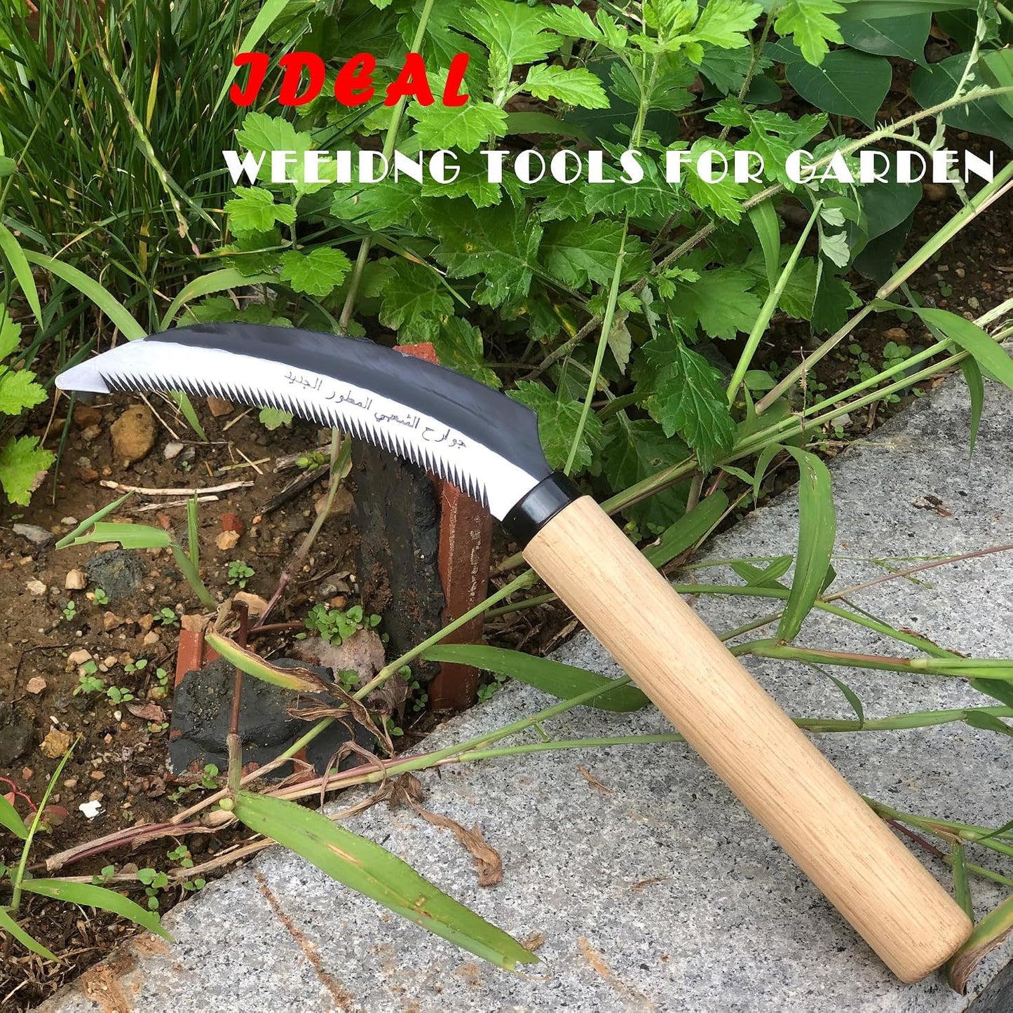 Japanese Weeding Sickle Hoe Gardening Tools 13-Inch Weed Remover Tool High-Carbon Steel One-Piece Molding with Hard Solid Wood Handle(Snake-Necked)