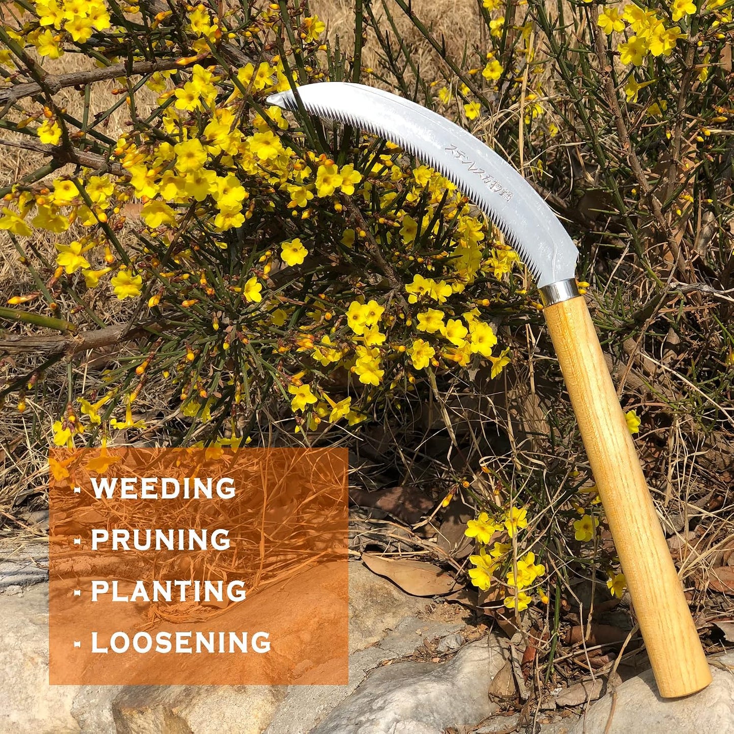 Japanese Weeding Sickle Hoe Gardening Tools 13-Inch Weed Remover Tool High-Carbon Steel One-Piece Molding with Hard Solid Wood Handle(Snake-Necked)