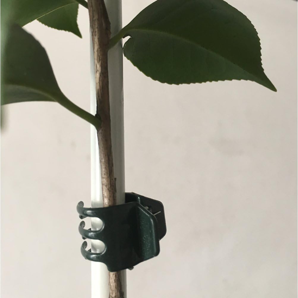 50 PCS Large Size Orchid Clips and Garden Support Clips Green (Not with Flower and Plant Spike)
