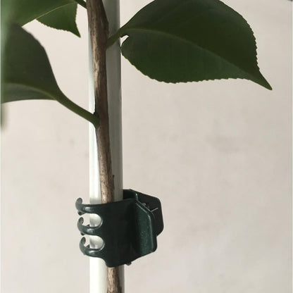 50 PCS Large Size Orchid Clips and Garden Support Clips Green (Not with Flower and Plant Spike)