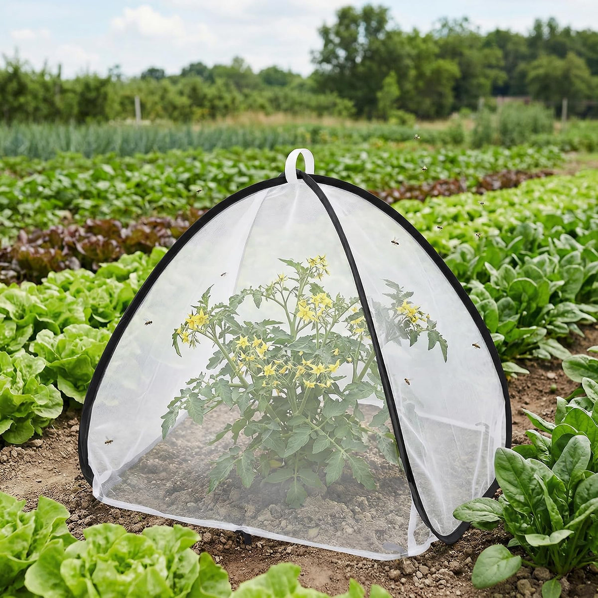 2Pcs Pop Up Insect Barrier Plant Cover Tent,Plant Protectors Mesh Enclosure