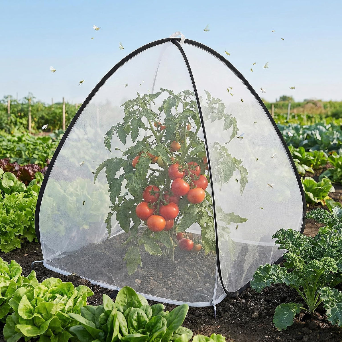2Pcs Pop Up Insect Barrier Plant Cover Tent,Plant Protectors Mesh Enclosure