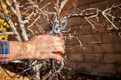 DualCUT Forged Steel Bypass Hand Pruner – 1″ Cutting Capacity Garden Pruning Shears for Branch & Stem Cutting