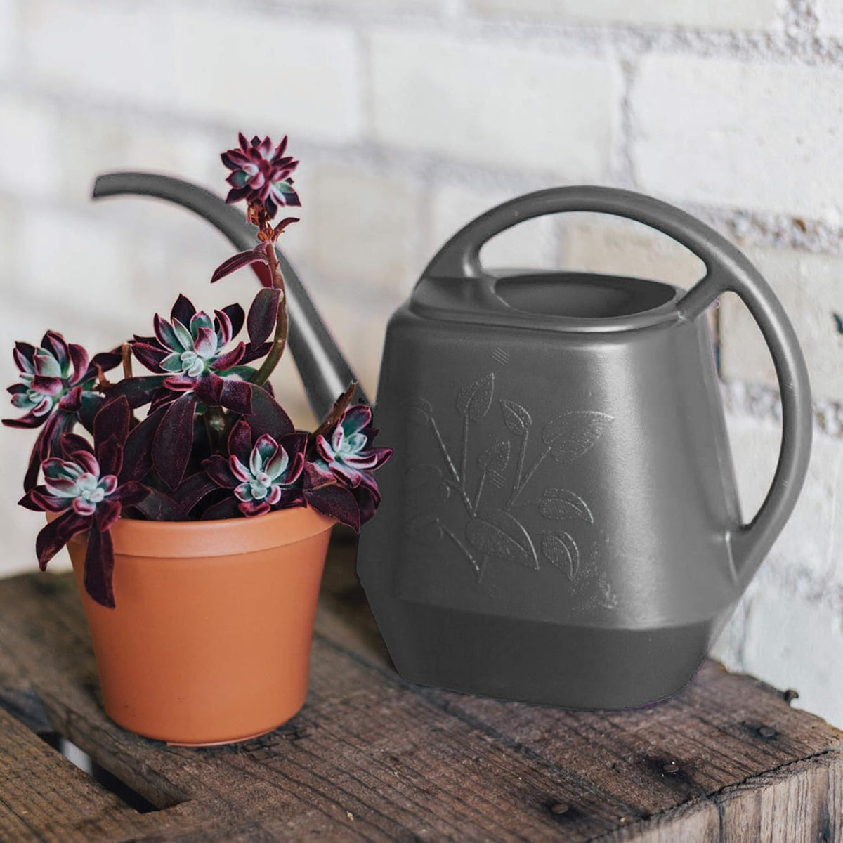 Deluxe Watering Can