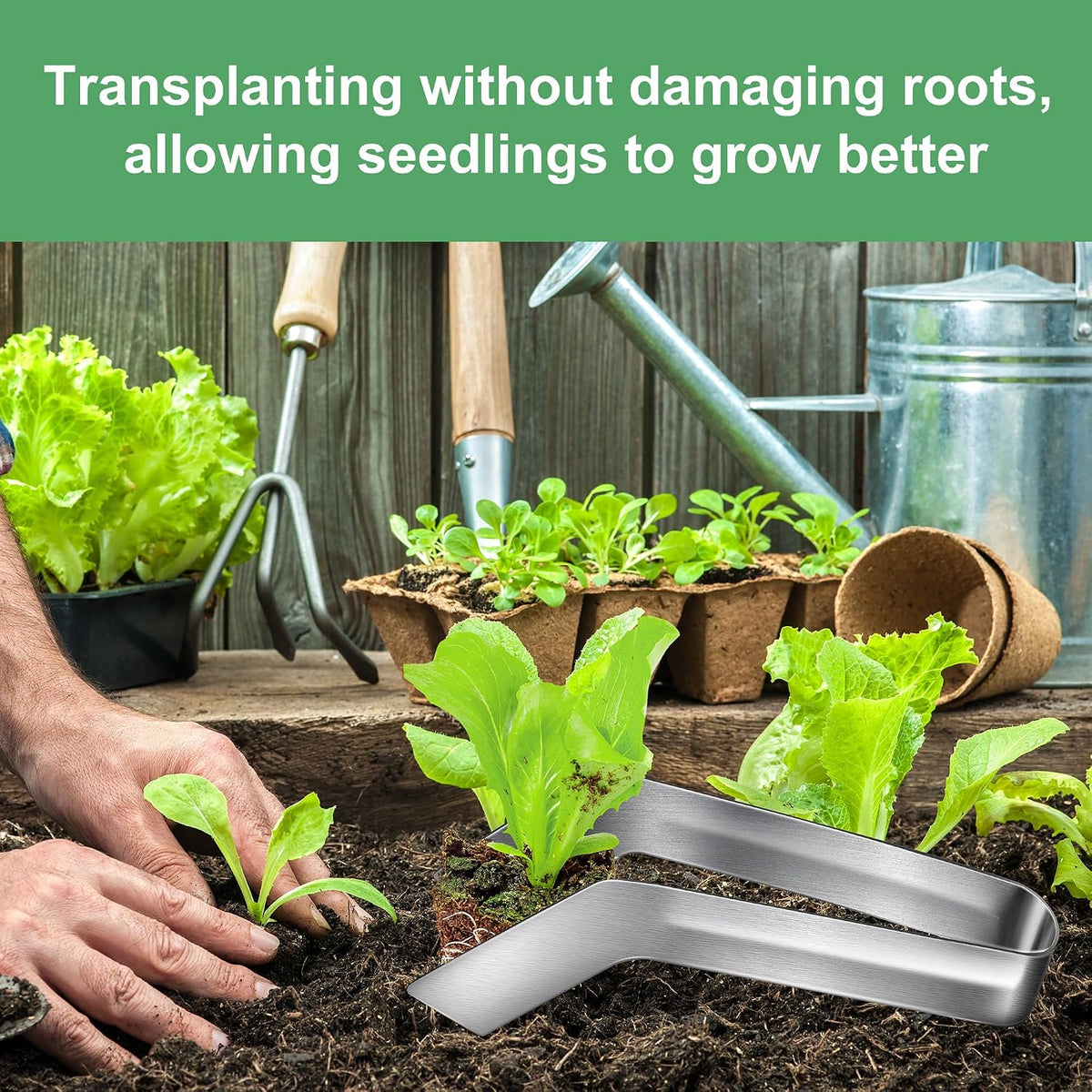 2 Pcs Seedling Transplant Tongs- 6.7 Inch Stainless Steel Gardening Plants Transplant Tongs- Seedling Remove Transplant Pliers for Reducing Root Damage