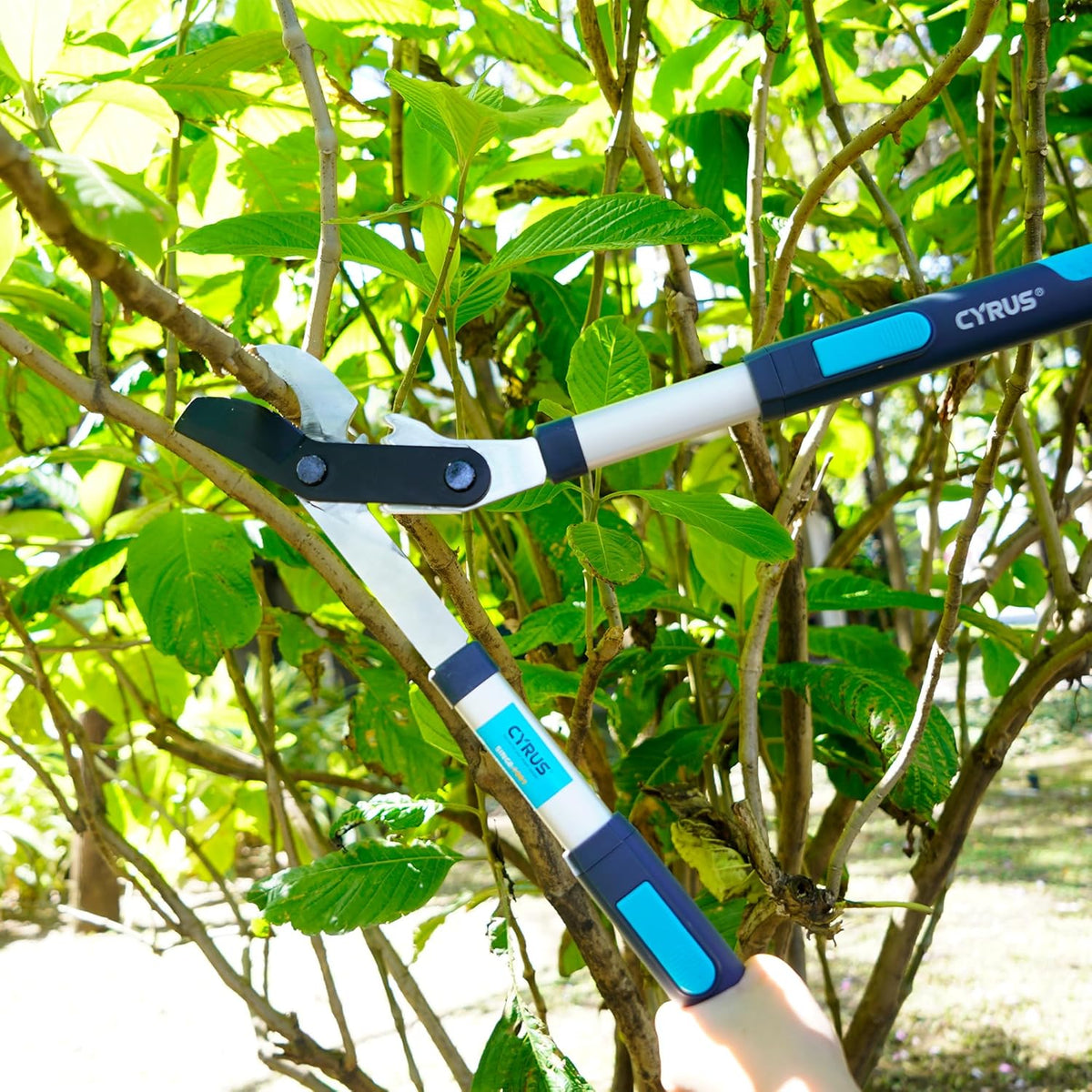 Extendable Tree Loppers 28-41 Inch For 2 Inch Thick Branch Trimming