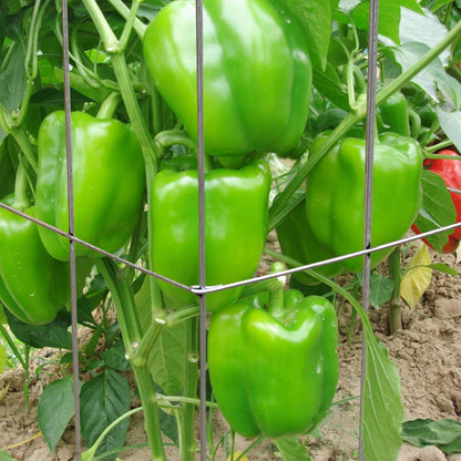 46" Height 12" Width 5PCS Galvanized Square Folding Tomato Cage,Plant Support Stake Tower