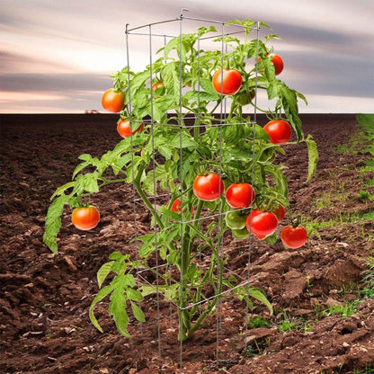 46" Height 12" Width 5PCS Galvanized Square Folding Tomato Cage,Plant Support Stake Tower
