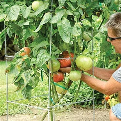 46" Height 12" Width 5PCS Galvanized Square Folding Tomato Cage,Plant Support Stake Tower