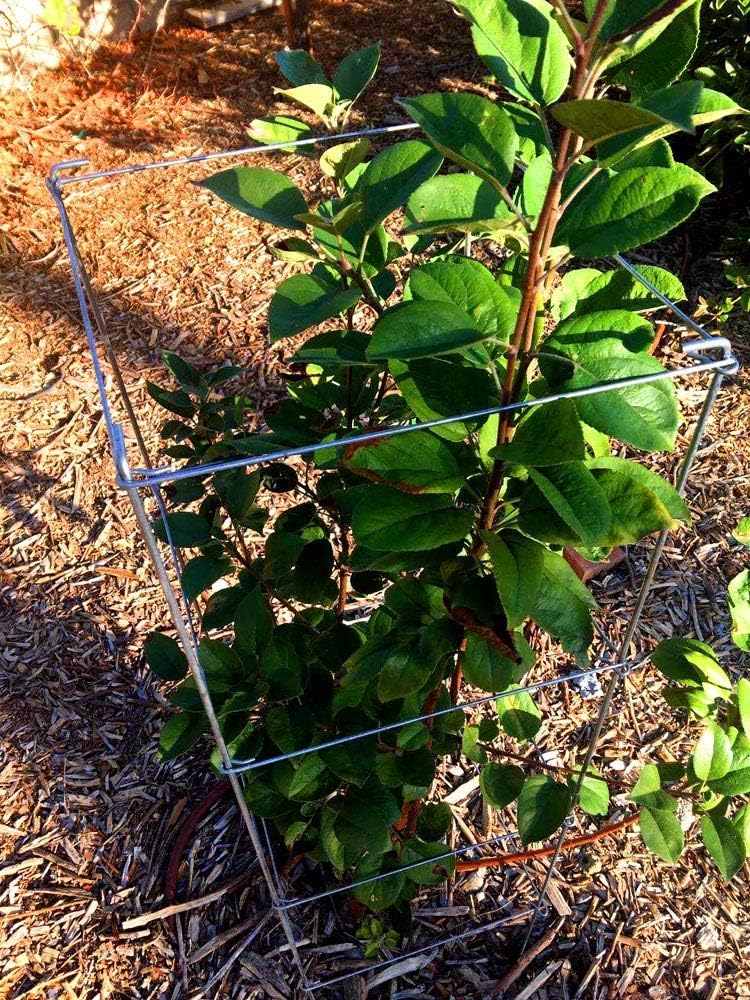 46" Height 12" Width 5PCS Galvanized Square Folding Tomato Cage,Plant Support Stake Tower