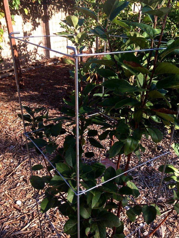 46" Height 12" Width 5PCS Galvanized Square Folding Tomato Cage,Plant Support Stake Tower