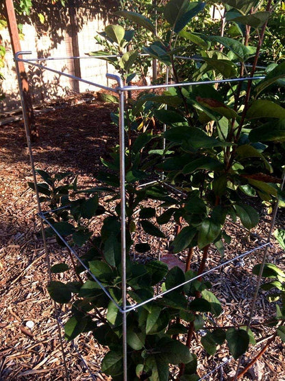 46" Height 12" Width 5PCS Galvanized Square Folding Tomato Cage,Plant Support Stake Tower