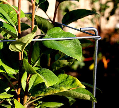 46" Height 12" Width 5PCS Galvanized Square Folding Tomato Cage,Plant Support Stake Tower