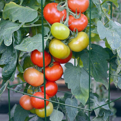 46" Height 12" Width 5PCS Galvanized Square Folding Tomato Cage,Plant Support Stake Tower
