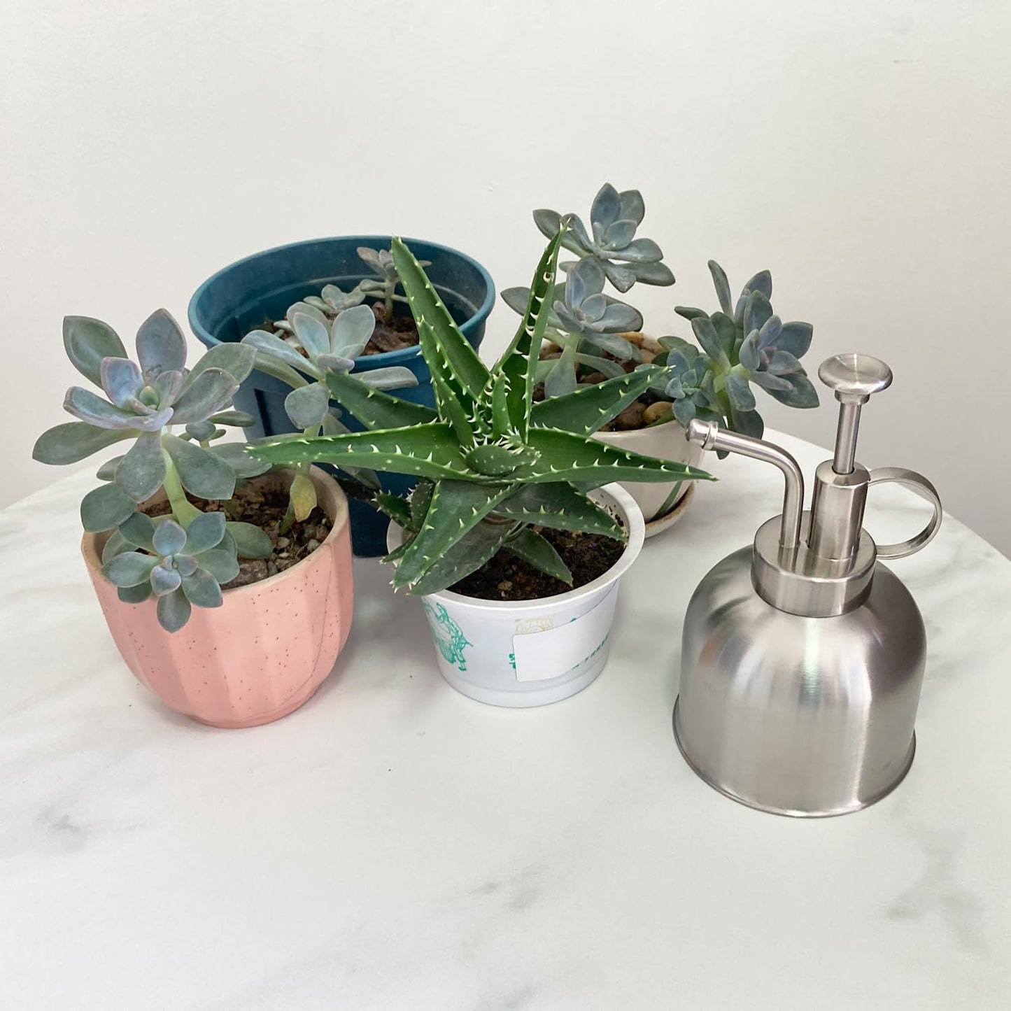 Stainless Steel Plant Sprayer, Small Watering Can, Modern Gardening Tool for Indoor Potted Plants