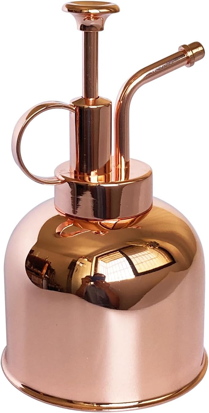 Stainless Steel Plant Sprayer, Small Watering Can, Modern Gardening Tool for Indoor Potted Plants