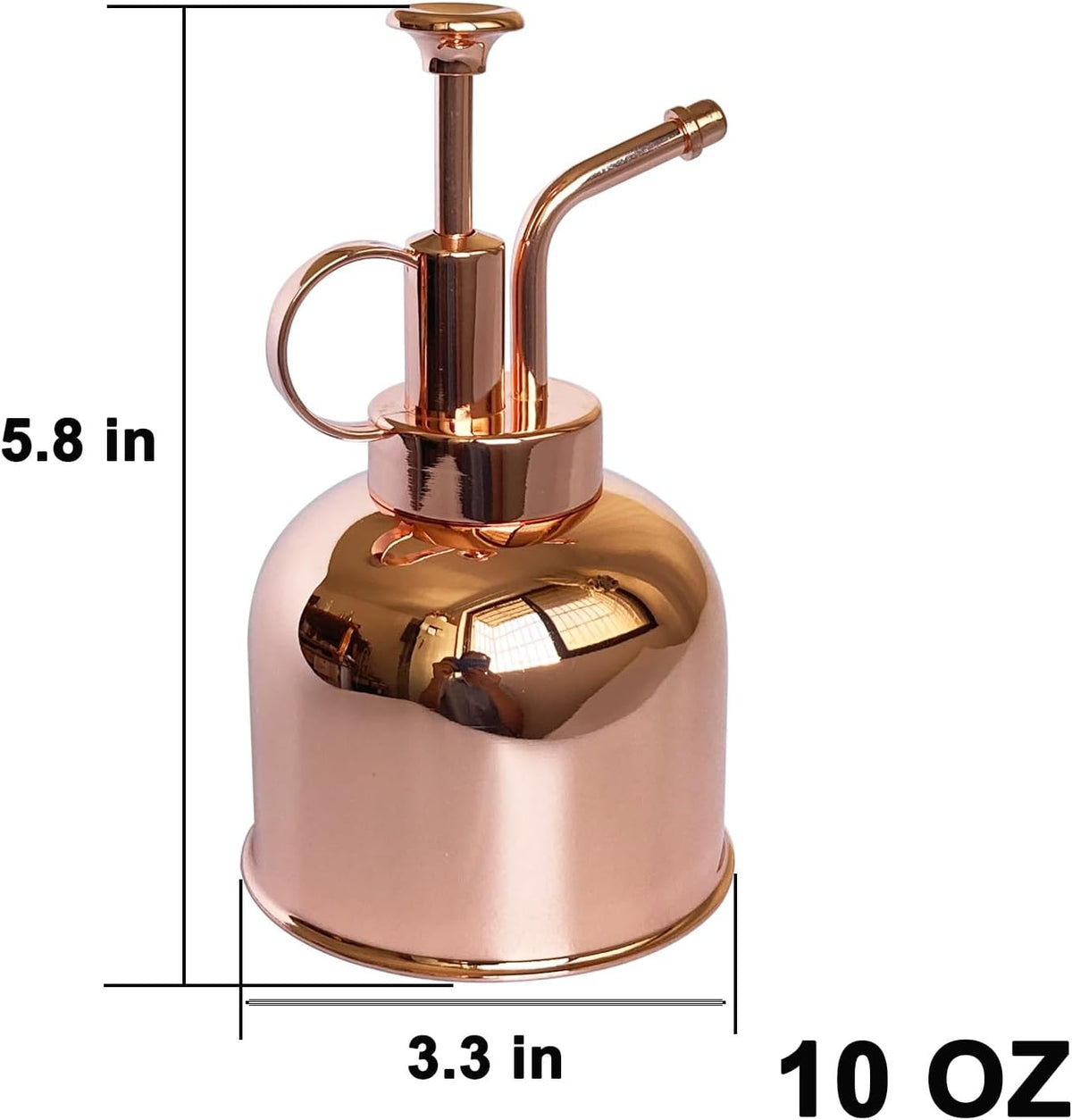 Stainless Steel Plant Sprayer, Small Watering Can, Modern Gardening Tool for Indoor Potted Plants