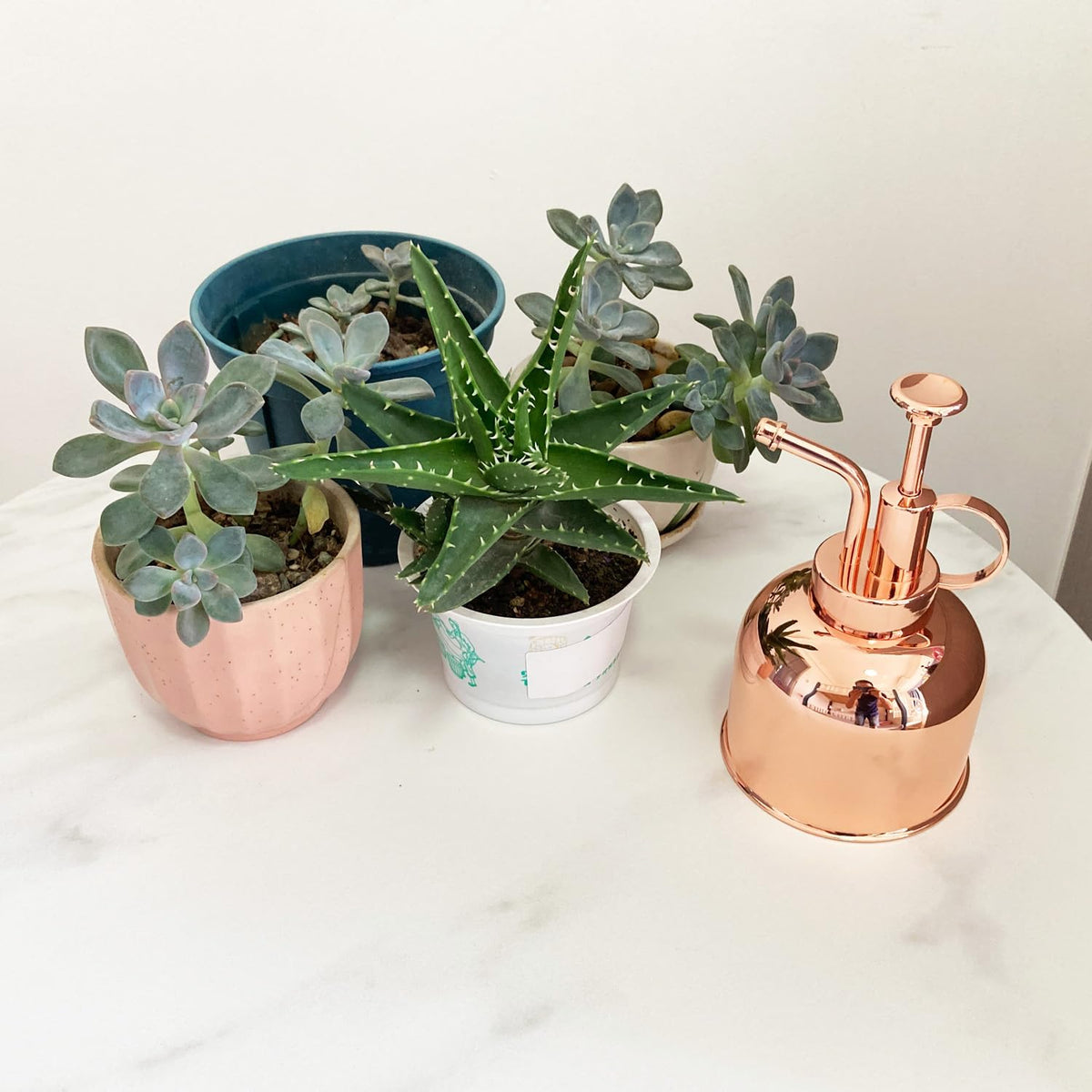 Stainless Steel Plant Sprayer, Small Watering Can, Modern Gardening Tool for Indoor Potted Plants