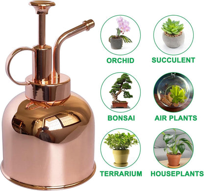 Stainless Steel Plant Sprayer, Small Watering Can, Modern Gardening Tool for Indoor Potted Plants