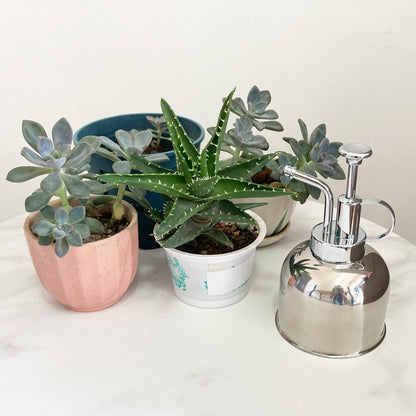 Stainless Steel Plant Sprayer, Small Watering Can, Modern Gardening Tool for Indoor Potted Plants