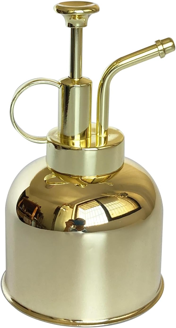 Stainless Steel Plant Sprayer, Small Watering Can, Modern Gardening Tool for Indoor Potted Plants