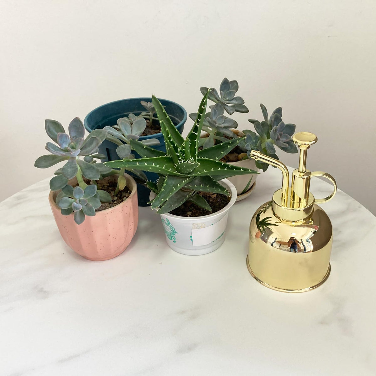 Stainless Steel Plant Sprayer, Small Watering Can, Modern Gardening Tool for Indoor Potted Plants
